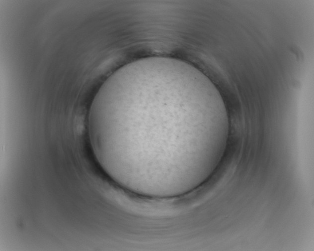 X0000113960032200910091638