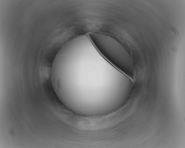 X0000113960033200910091638