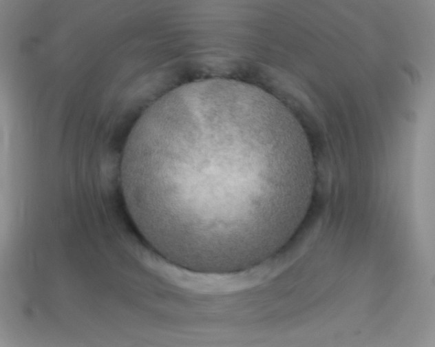 X0000113960034200910091638