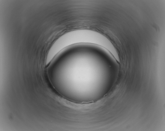 X0000113960035200910091638