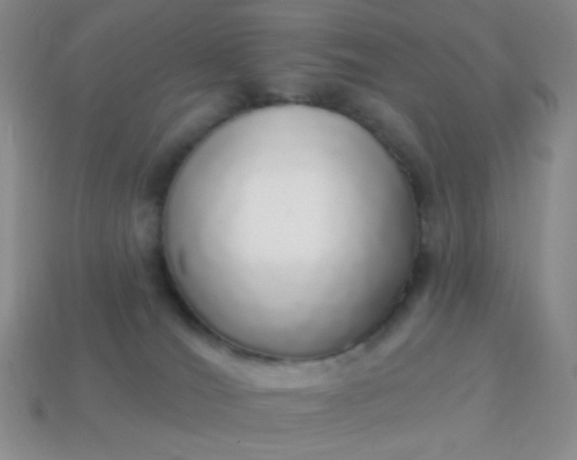 X0000113960036200910091638