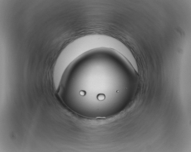 X0000113960037200910091638