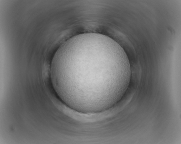 X0000113960038200910091638