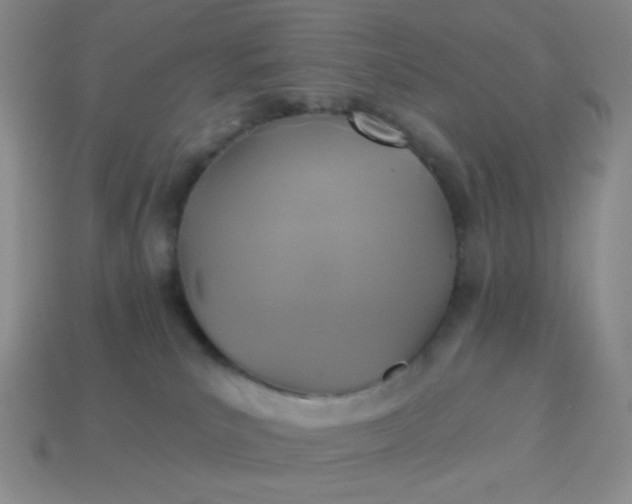 X0000113960039200910091638