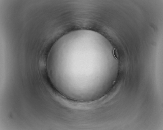 X0000113960040200910091638