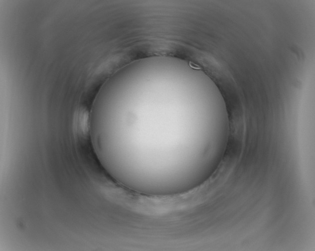 X0000113960041200910091638