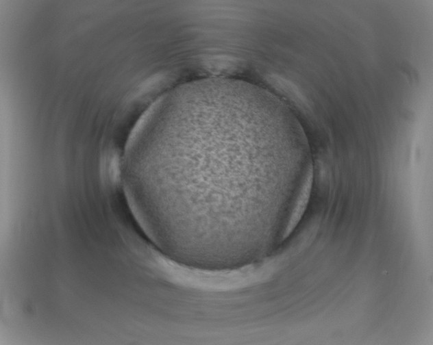 X0000113960042200910091638