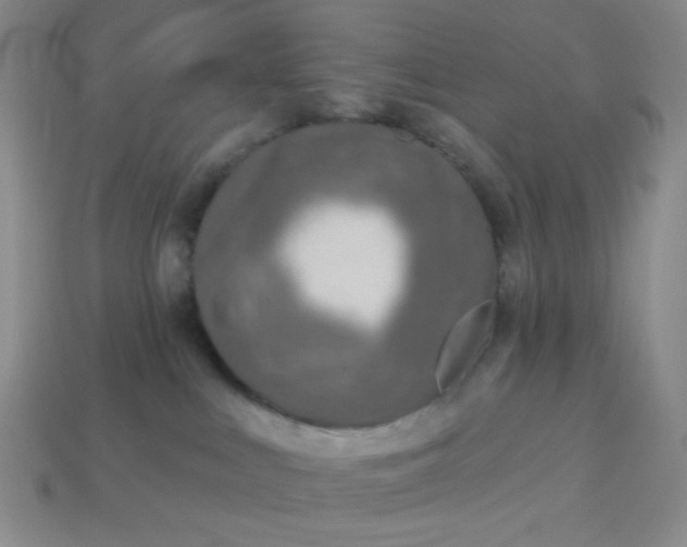 X0000113960043200910091638