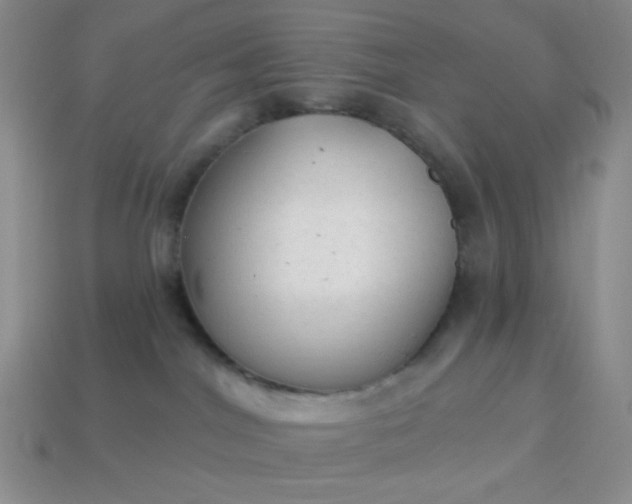 X0000113960044200910091638