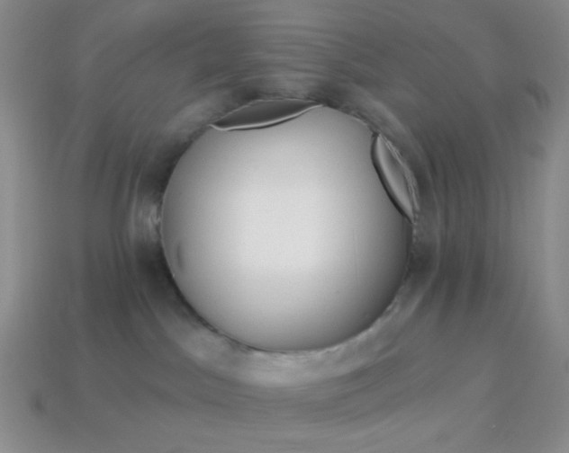 X0000113960045200910091638