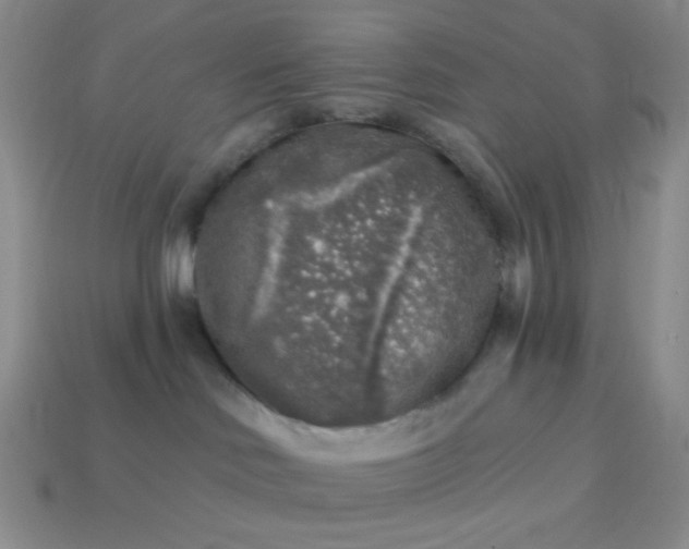 X0000113960046200910091638