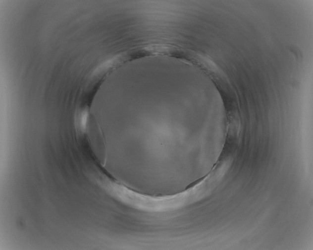 X0000113960047200910091638