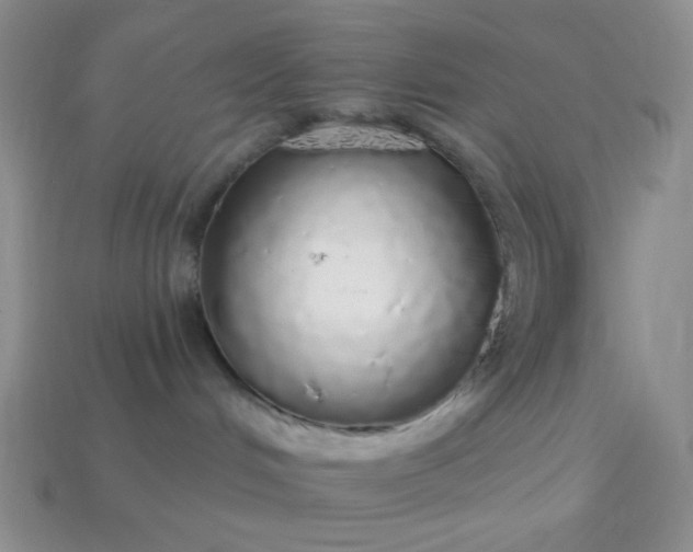 X0000113960048200910091638