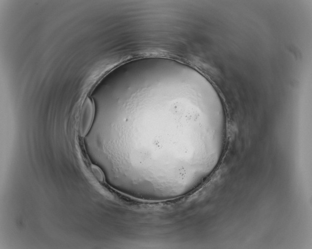 X0000113960049200910091637