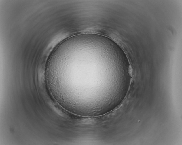 X0000113960050200910091637