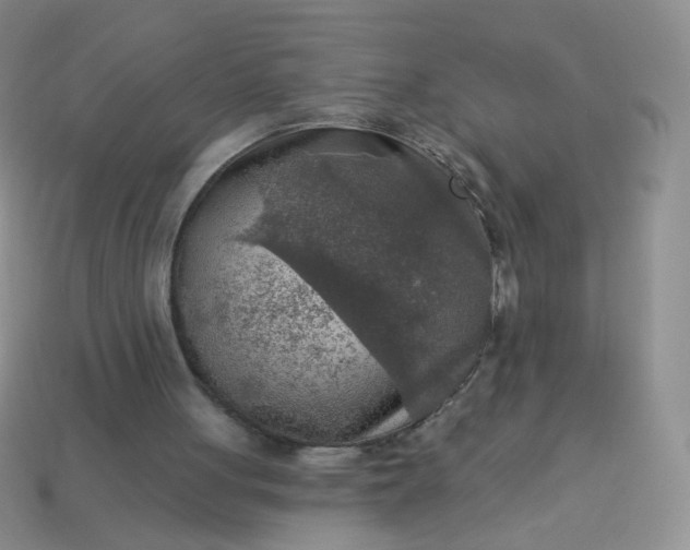 X0000113960051200910091637