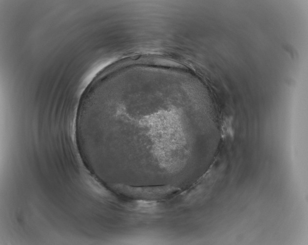 X0000113960052200910091637