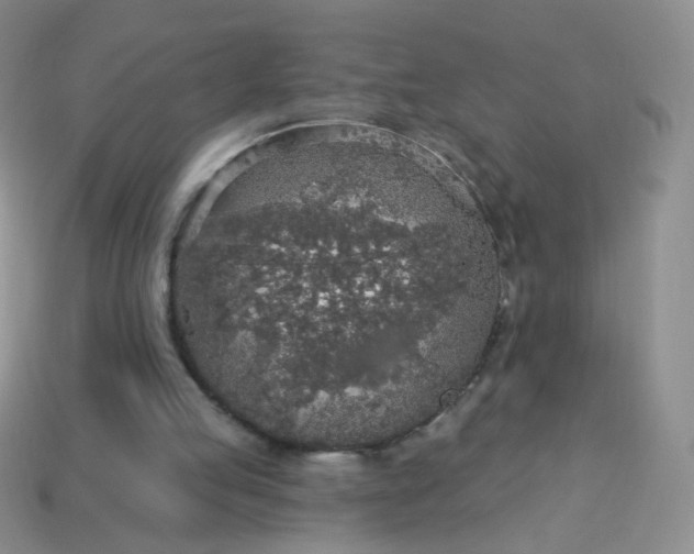 X0000113960053200910091637