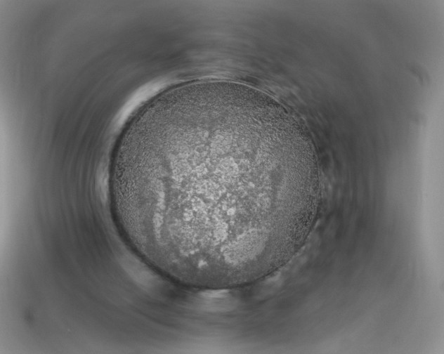 X0000113960054200910091637