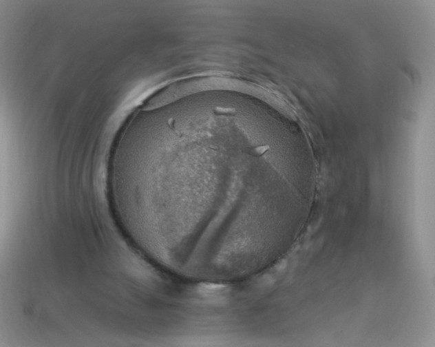 X0000113960055200910091637