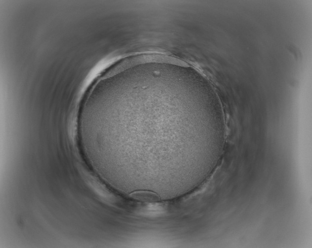 X0000113960056200910091637