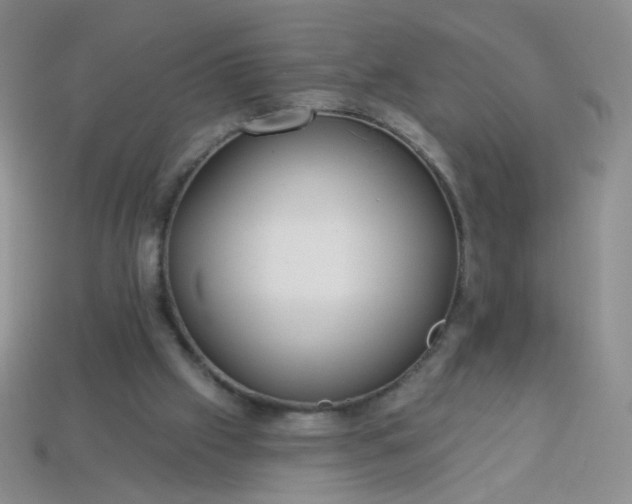 X0000113960057200910091637