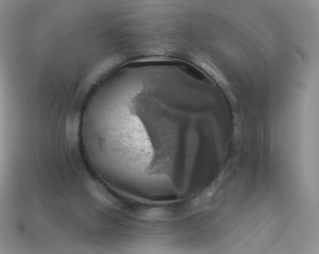 X0000113960058200910091637