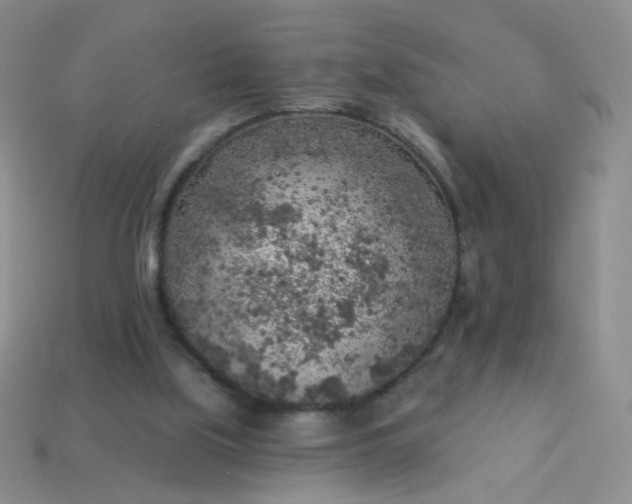 X0000113960059200910091637