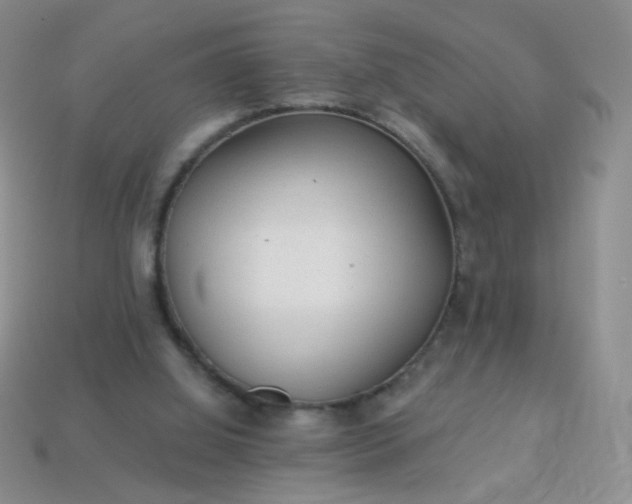 X0000113960060200910091637