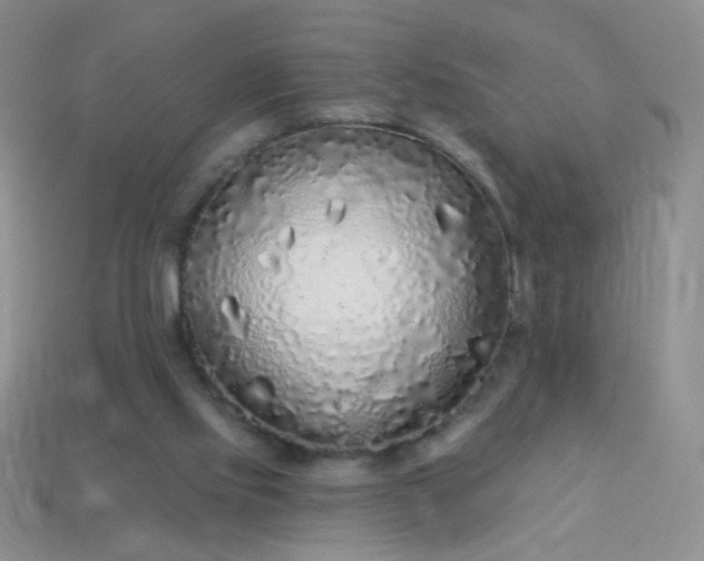 X0000113960061200910091637