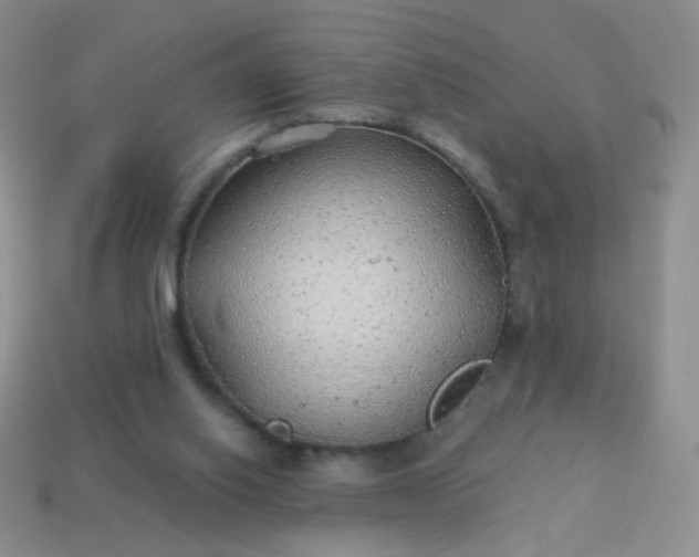 X0000113960062200910091637