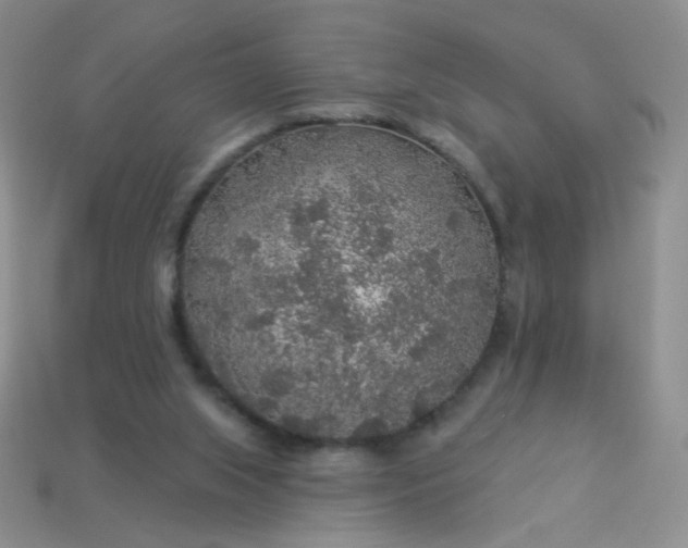 X0000113960063200910091637