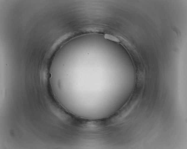 X0000113960064200910091637