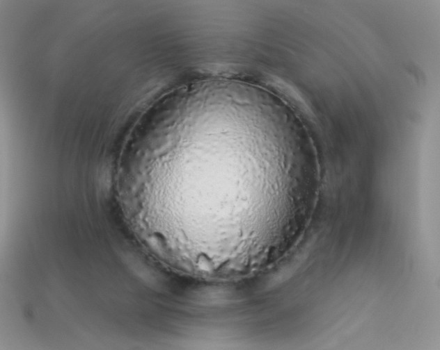 X0000113960065200910091637