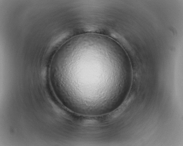 X0000113960066200910091637