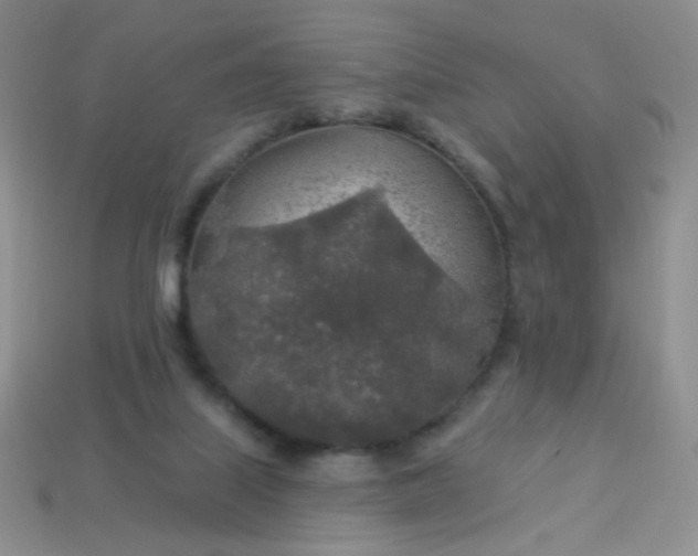 X0000113960067200910091637