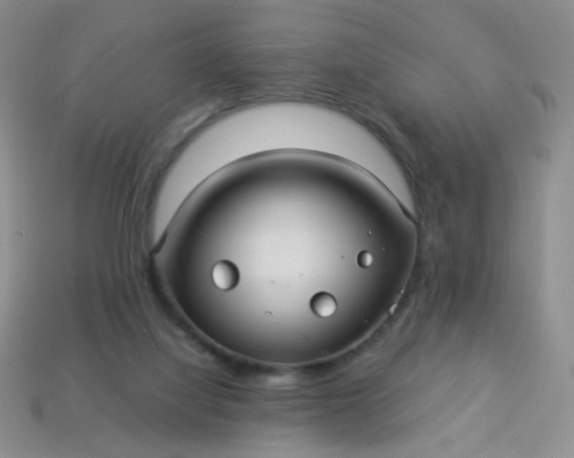 X0000113960068200910091637