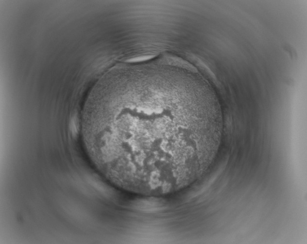 X0000113960069200910091637