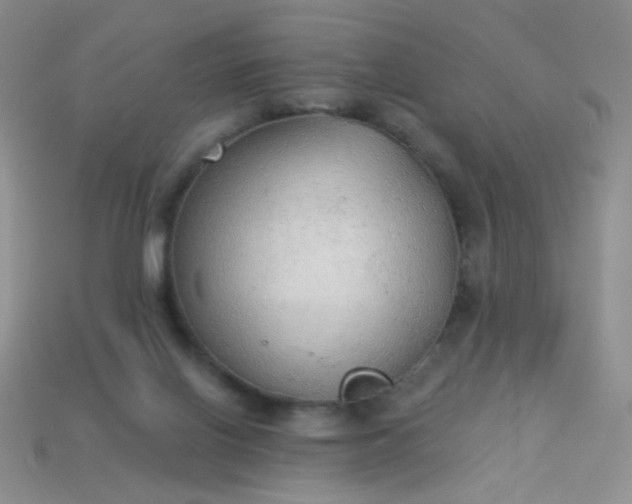 X0000113960070200910091637