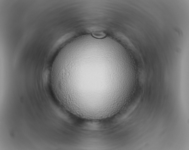 X0000113960071200910091637