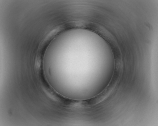 X0000113960072200910091637