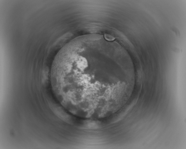 X0000113960073200910091637