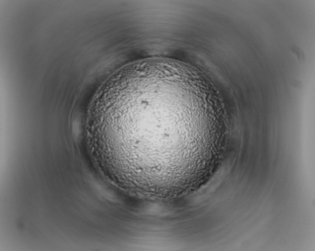 X0000113960074200910091637