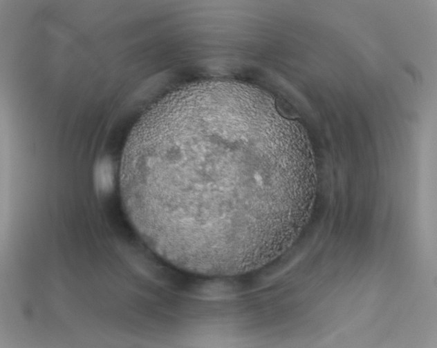 X0000113960075200910091637