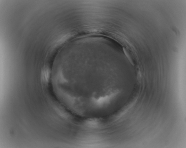 X0000113960076200910091637