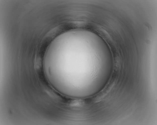 X0000113960077200910091637