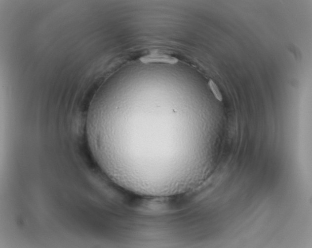 X0000113960078200910091638