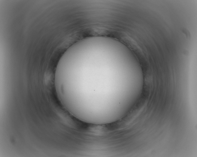 X0000113960079200910091638