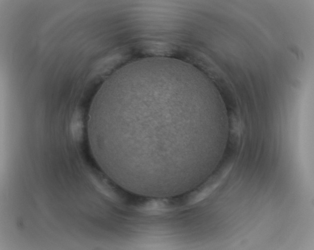 X0000113960080200910091638