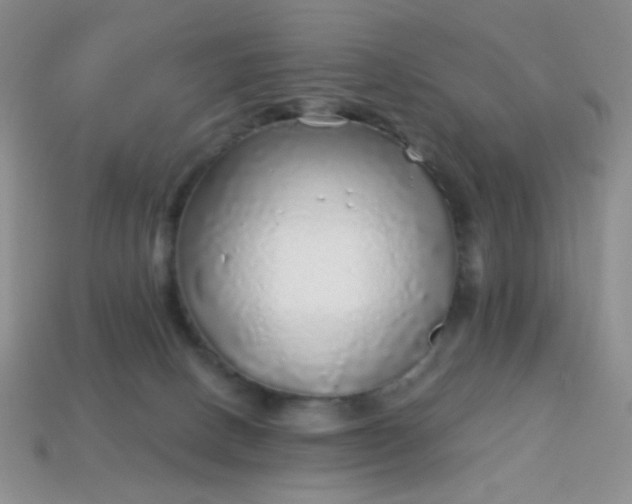 X0000113960082200910091638